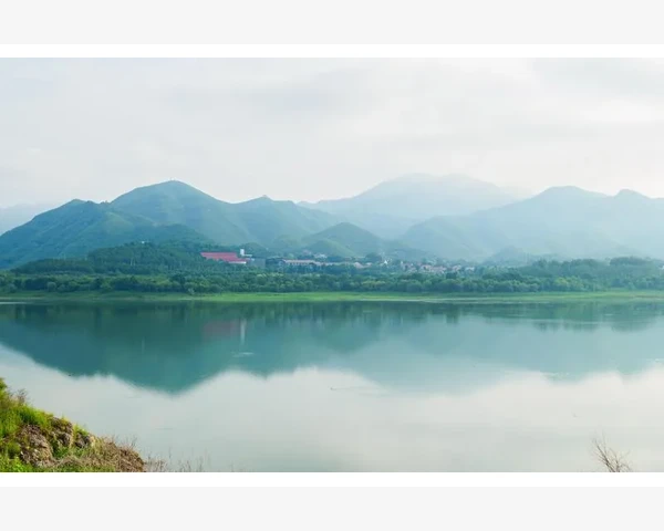 MT4指标信号消失背后绘制机制受何影响_MT4指标绘制的底层逻辑