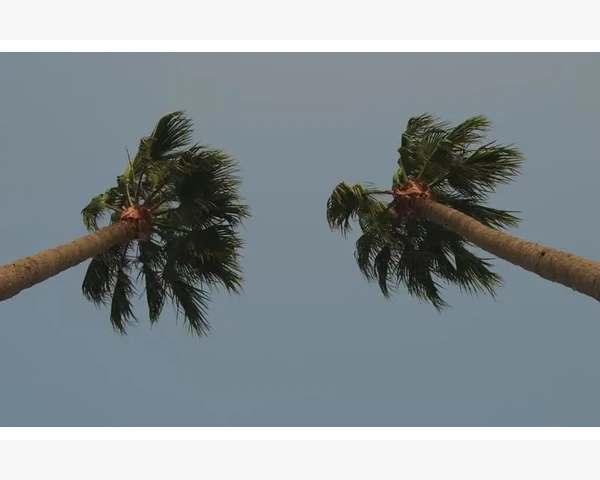 切段长度均匀度的现场实测与数据呈现_小户型必备多功能折叠餐桌选购与使用全攻略