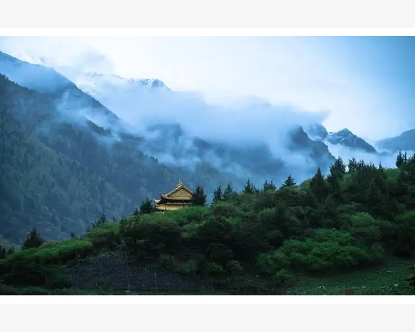 MT4图表删掉多余指标工具的干净利落操作