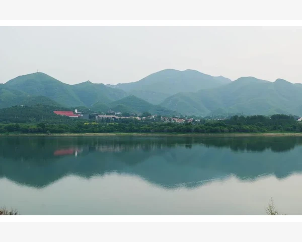 MT4持仓开仓价隔夜利息独立计算解析