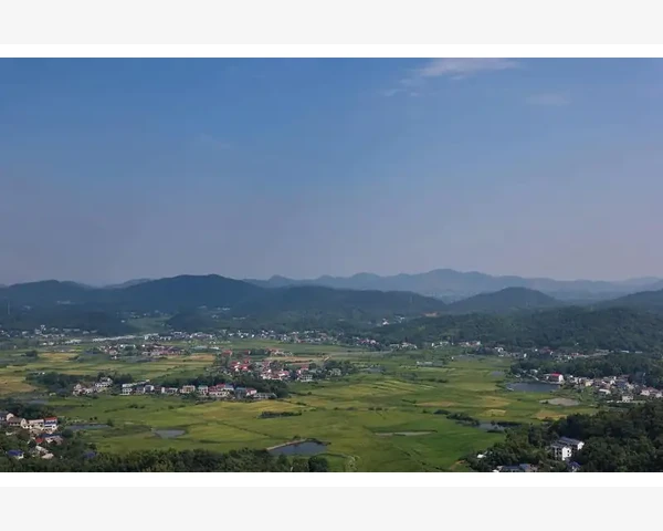 温度传感器芯片选型与性能要点_如何搭建微信B2B的基础框架