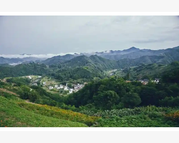切段长度均匀性对糖分保存的影响_高等教育出版社B2B采购平台功能与使用