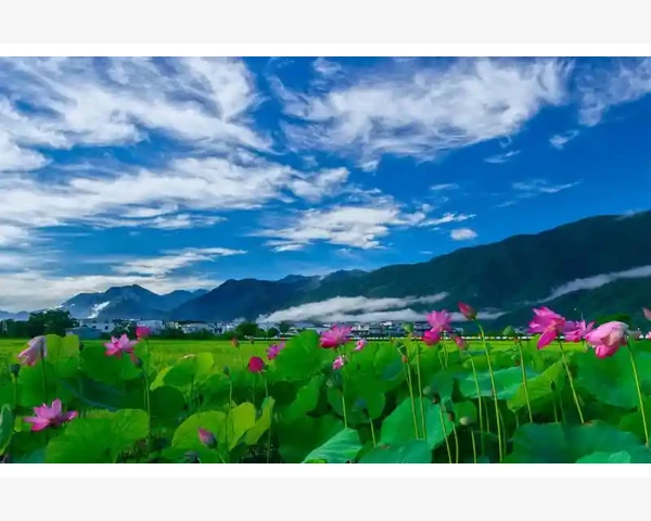 B2B会员到期续费效益精算_B2B会员到期续费效益精算