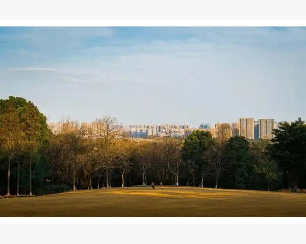 MT4多窗口布局保存这点事我折腾了半宿总算弄明白_克隆订单的实际应用场景